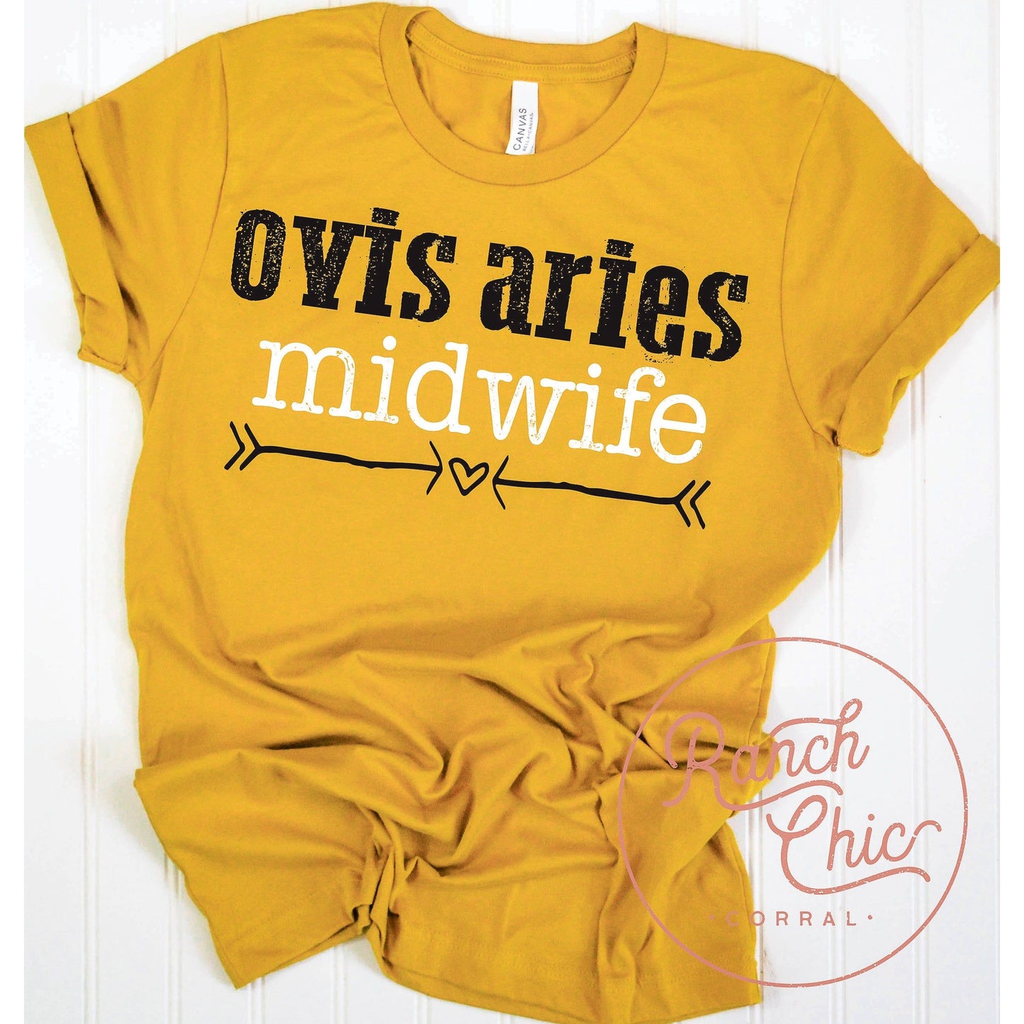 Ovis Aries