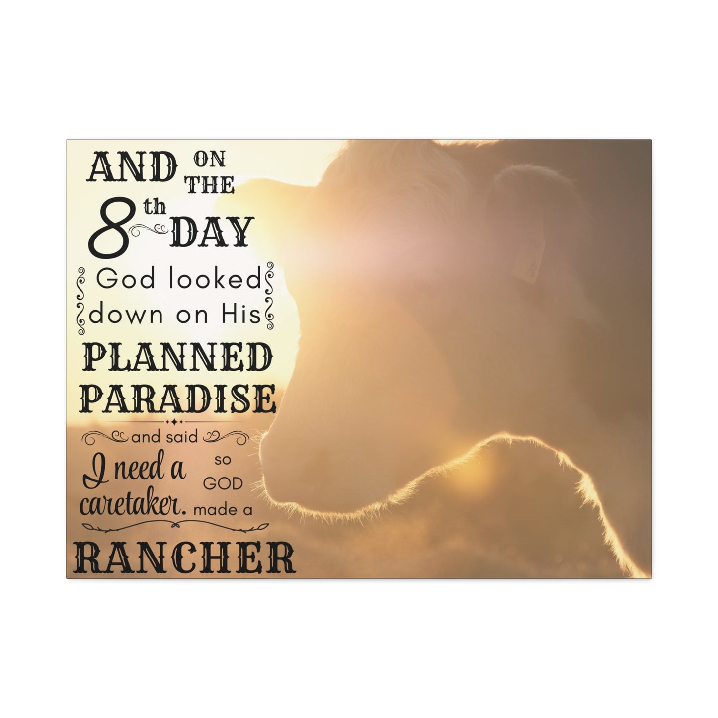 Ranch Chic Canvas Collection Hereford