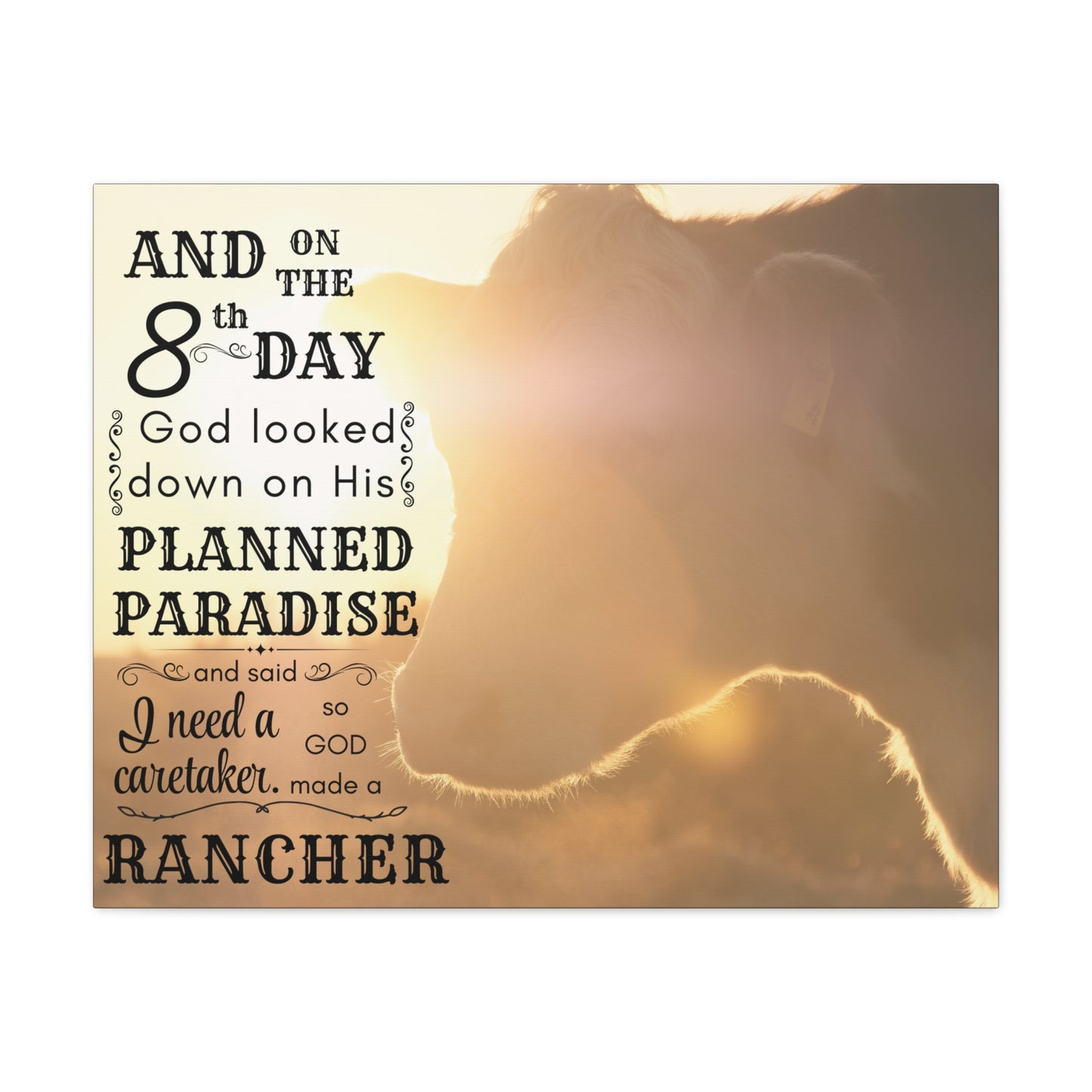 Ranch Chic Canvas Collection Hereford