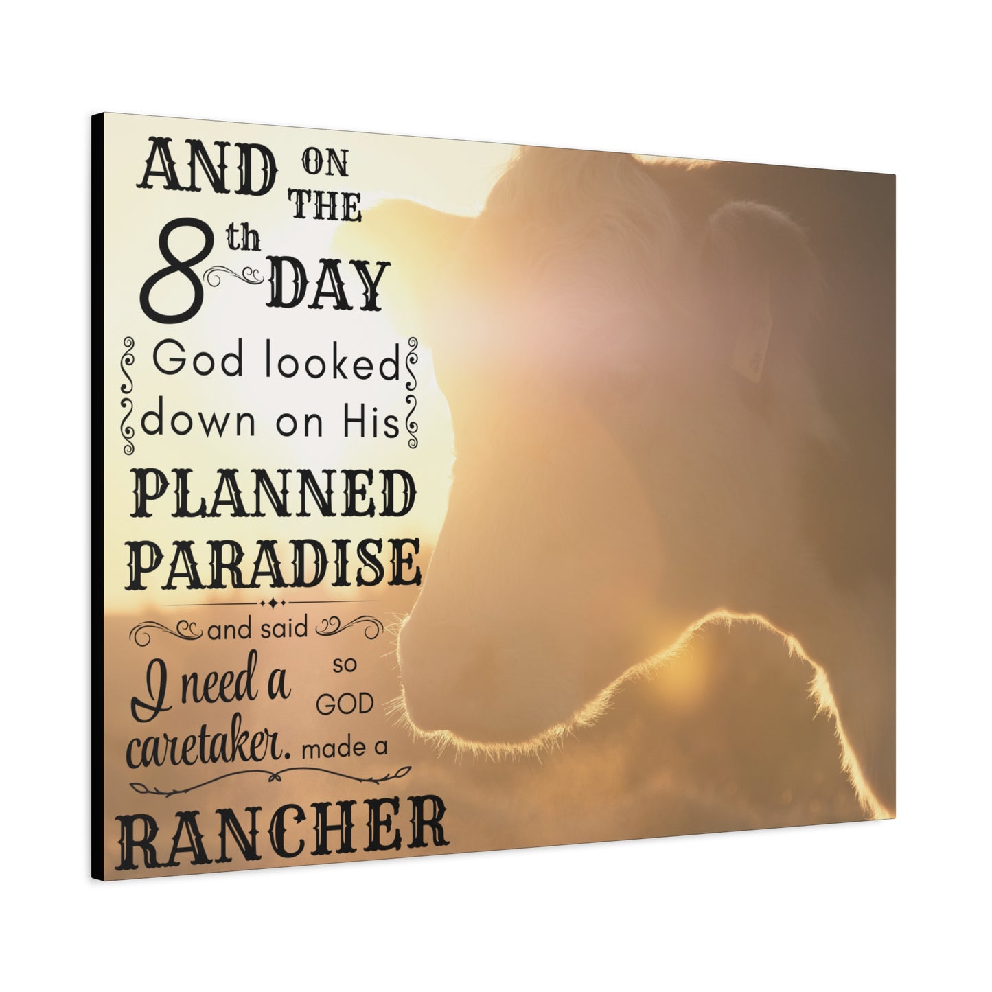 Ranch Chic Canvas Collection Hereford