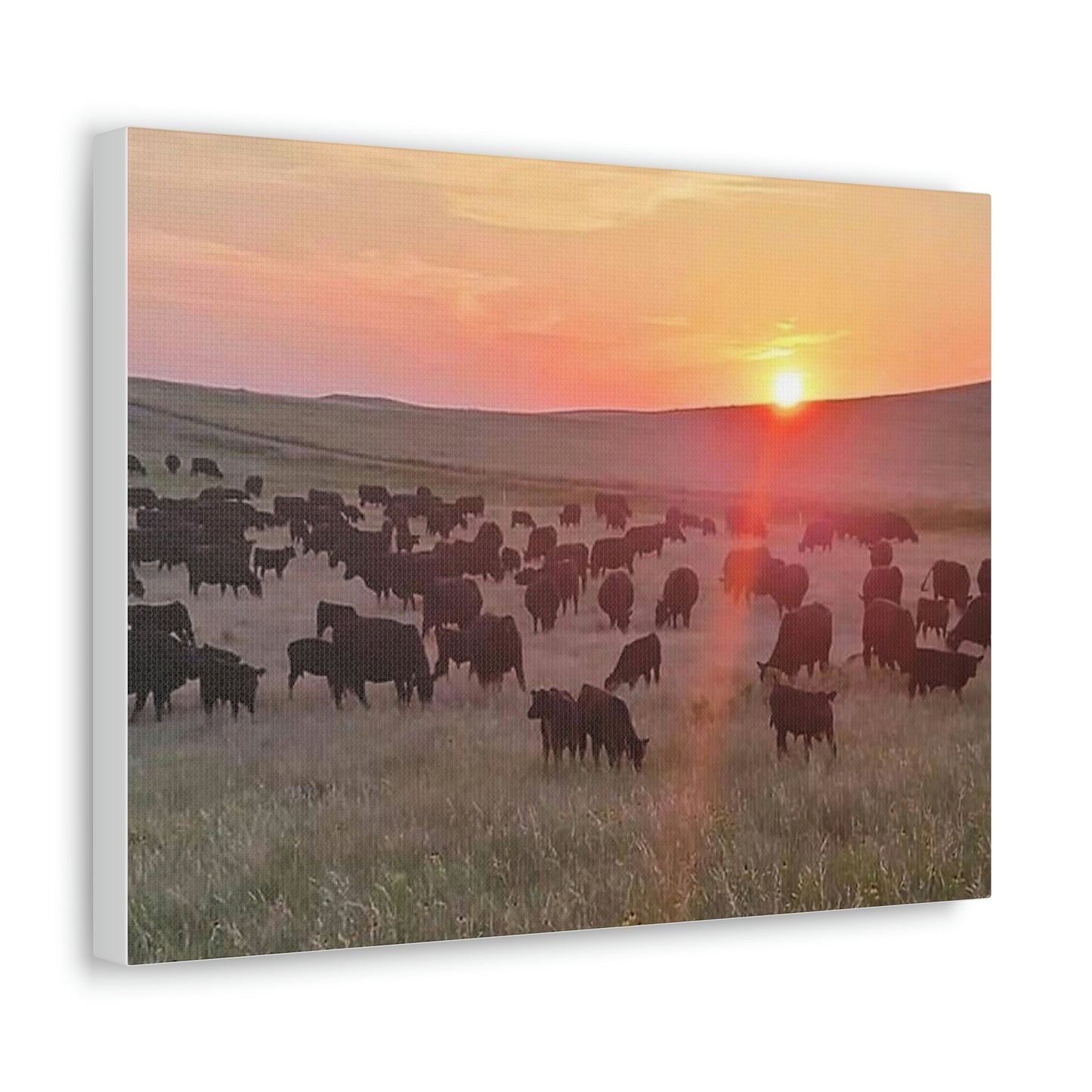 Prairie Days Canvas