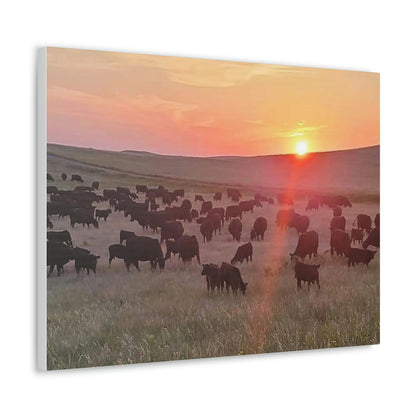 Prairie Days Canvas