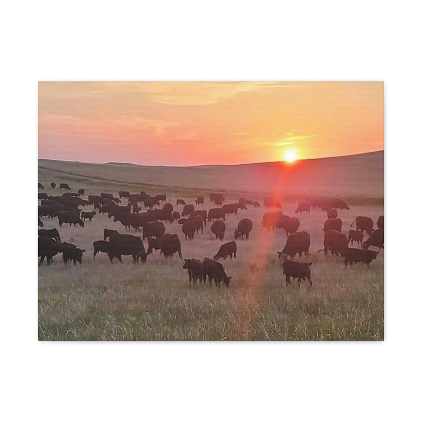 Prairie Days Canvas