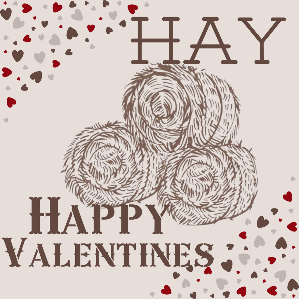 Valentines Cards