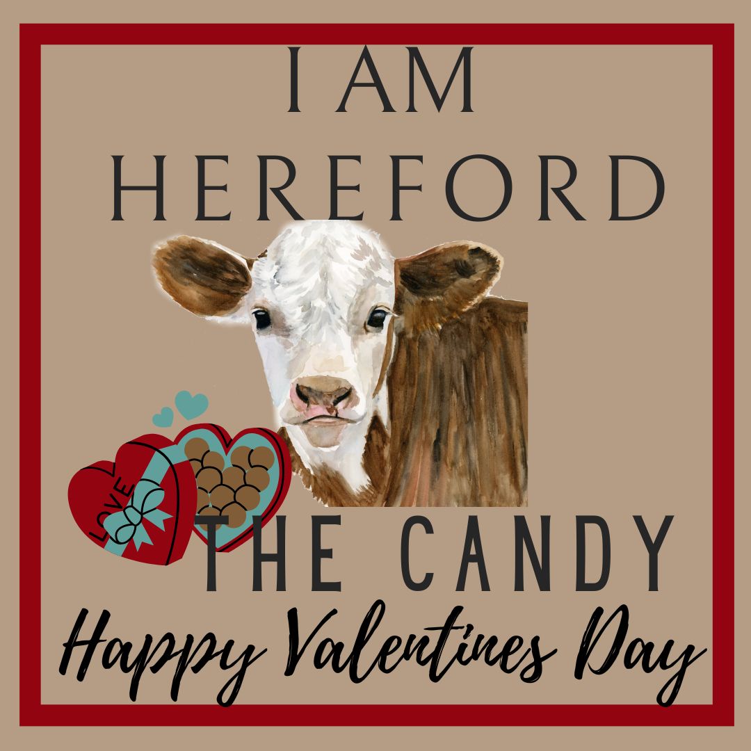 Valentines Cards