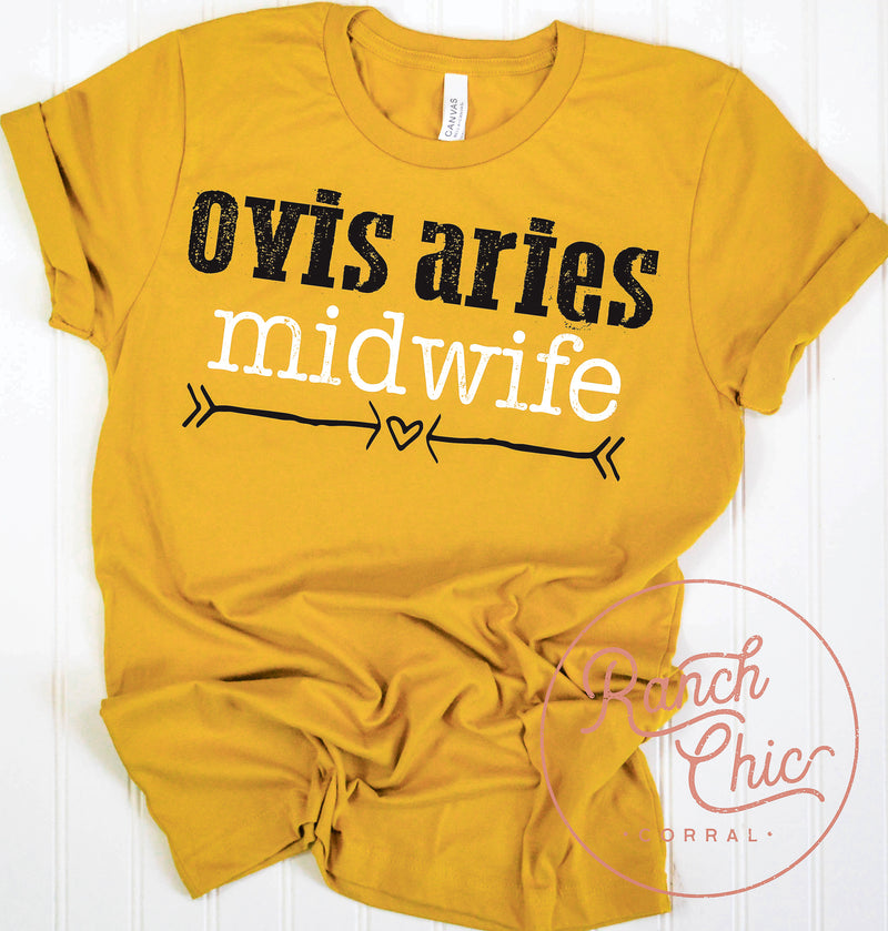 Ovis Aries